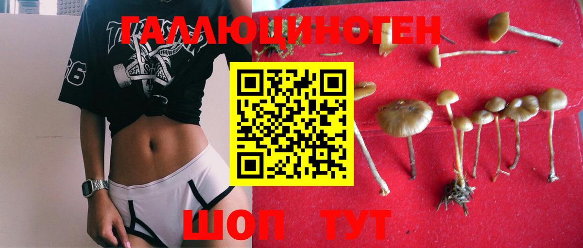 Галлюциногенные грибы MAGIC MUSHROOMS  Вход с VPN  Дедовск  Галлюциногенные грибы GOLDEN TEACHER 
