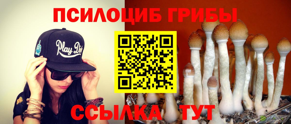  Кокаин Дедовск